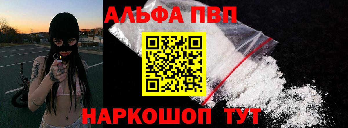 Alfa_PVP СК Новошахтинск