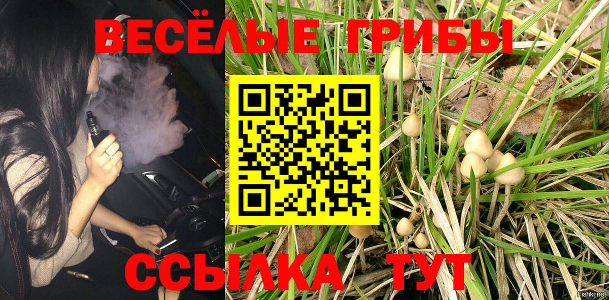 Галлюциногенные грибы Cubensis  купить наркотики цена  Вход с VPN  Новошахтинск  Псилоцибиновые грибы Magic Shrooms 